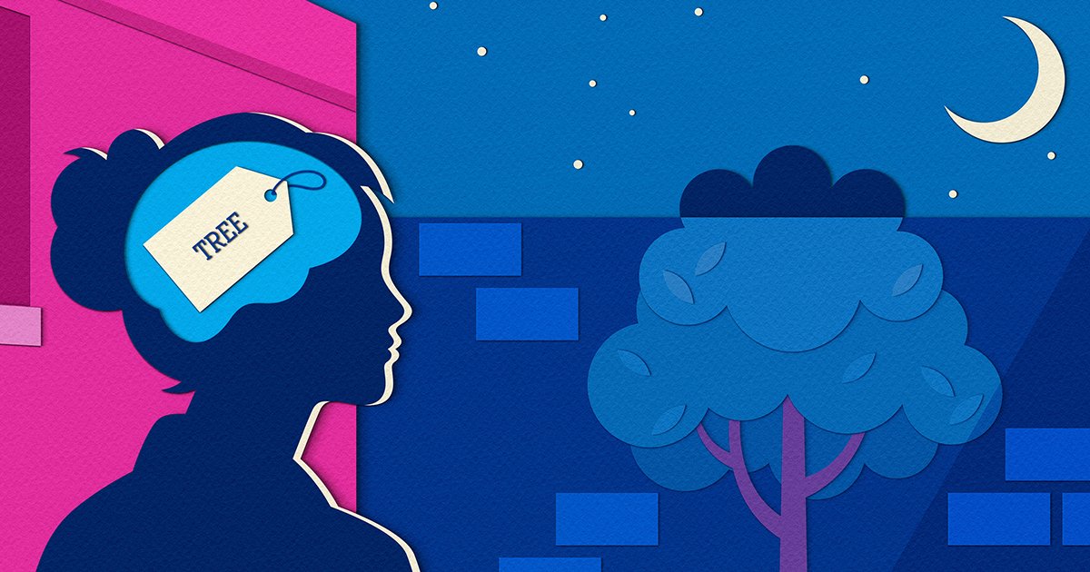 Brain's Categorization System Rethought as Predictive Engine