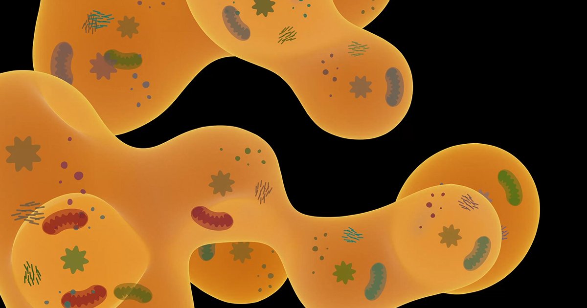 Cellular Density: The Hidden Physics Governing Life's Inner Workings