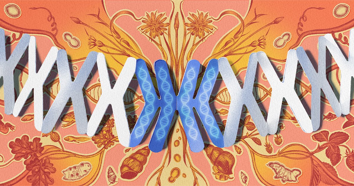 Double or Nothing: The Perilous Gamble of Whole-Genome Duplication