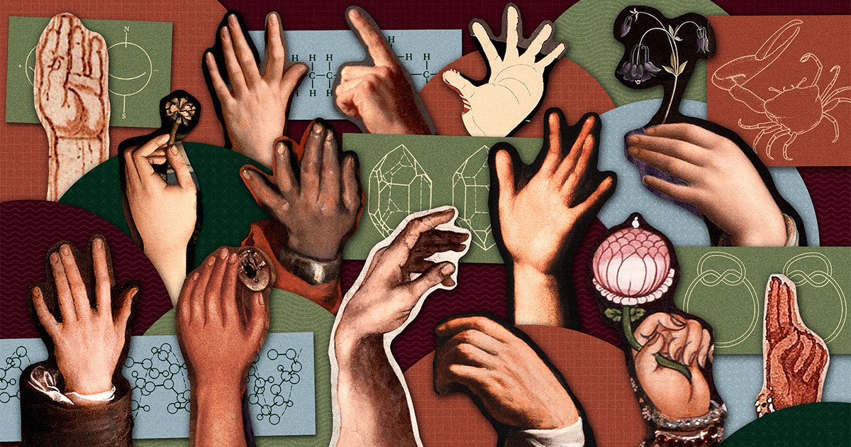 The Puzzle of Left-Handedness: Why 10% of Us Defy the Norm