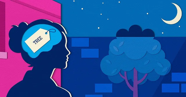 Brain's Categorization System Rethought as Predictive Engine