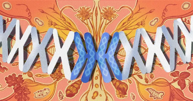 Double or Nothing: The Perilous Gamble of Whole-Genome Duplication